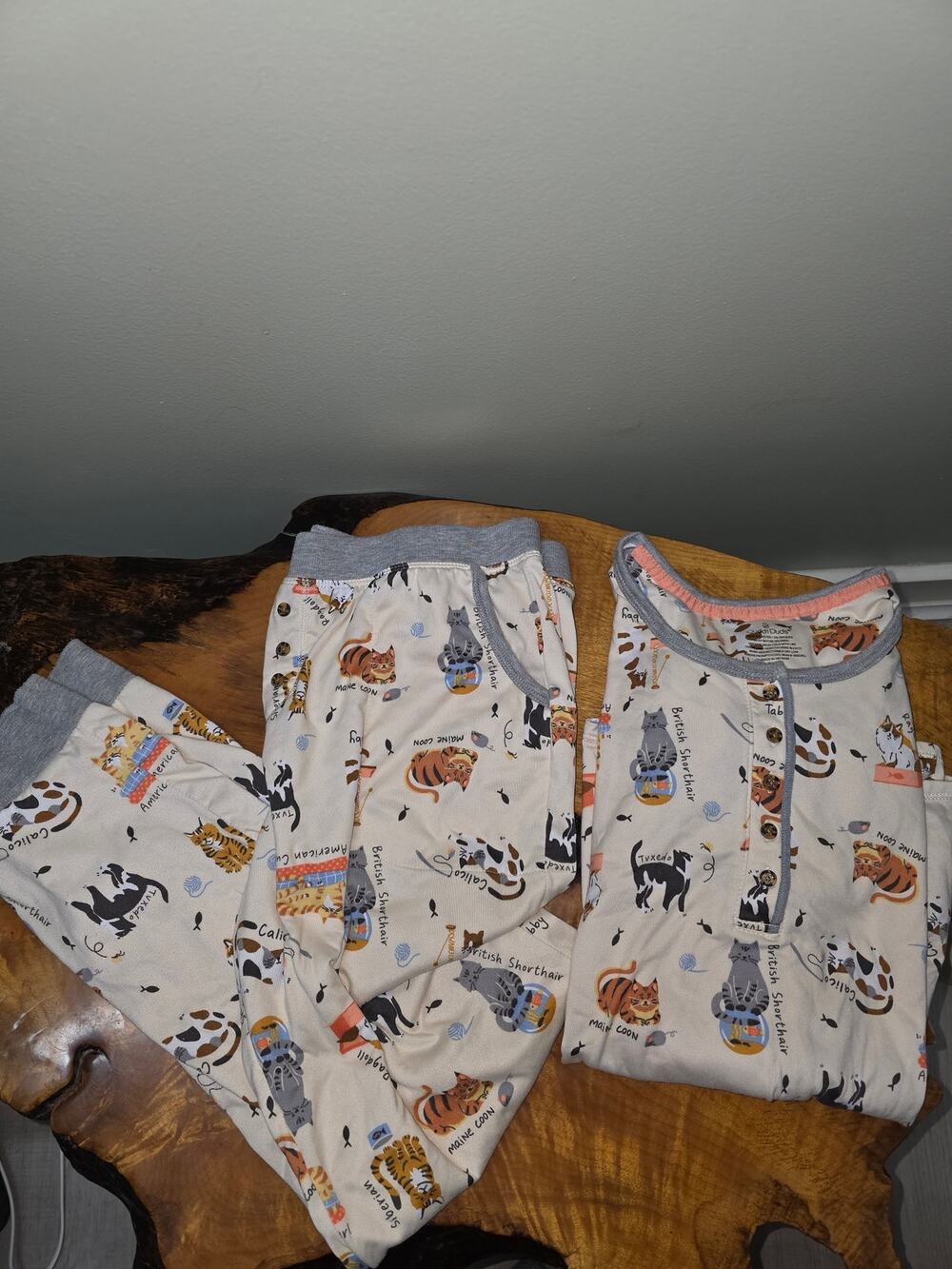 Cuddl Duds 2 Piece Cat Character PJ's Size M
